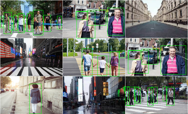 Person Detection Convolutional Neural Network